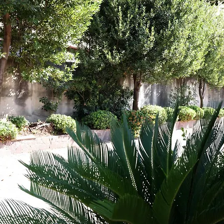 Pensionat Morena 4*