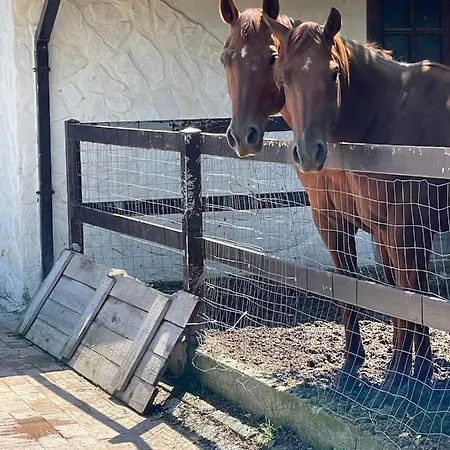 Morena Pensjonat Cava deʼ Tirreni
