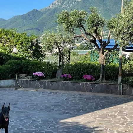 Pensjonat Morena *
